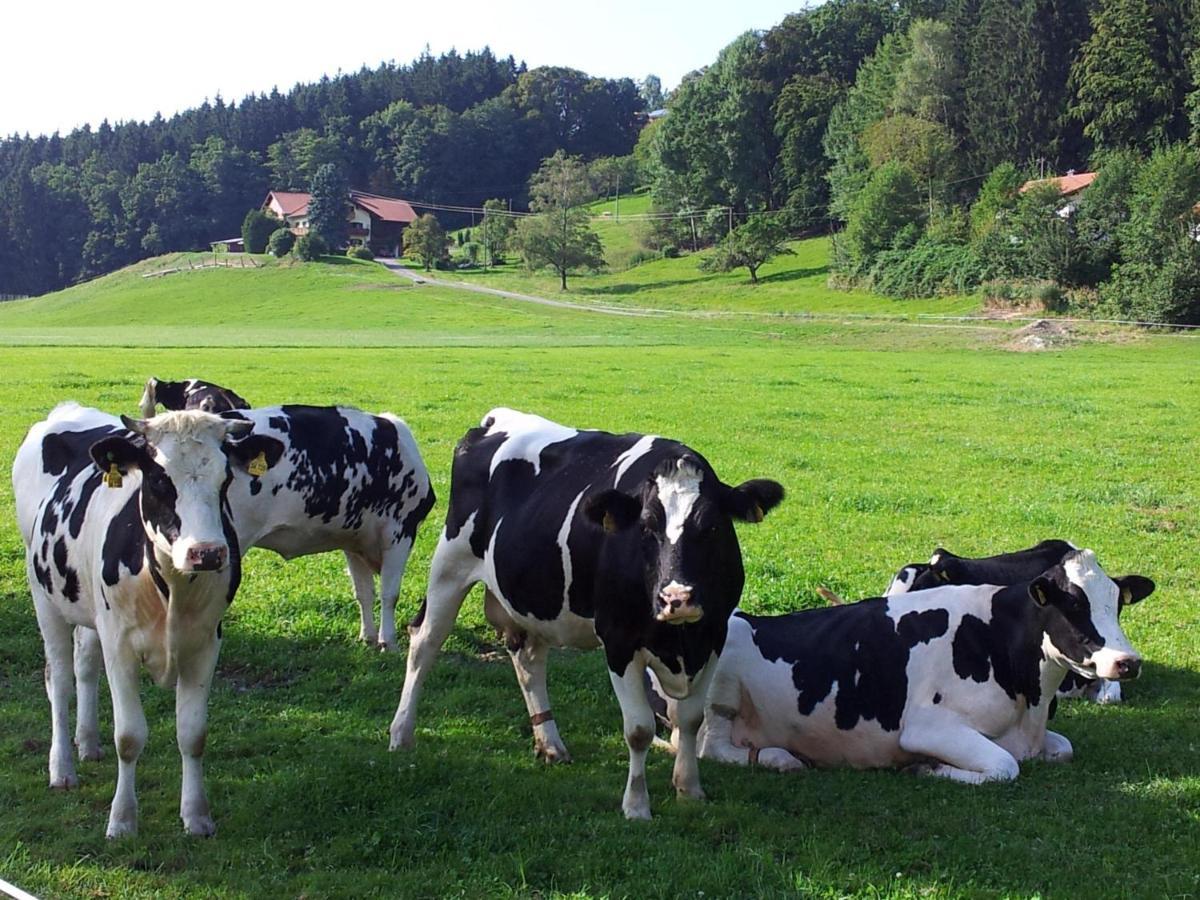 Zwischen Chiemsee Und Bergen Dg Bernau am Chiemsee Buitenkant foto